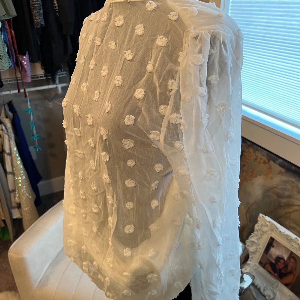 Sheer blouse